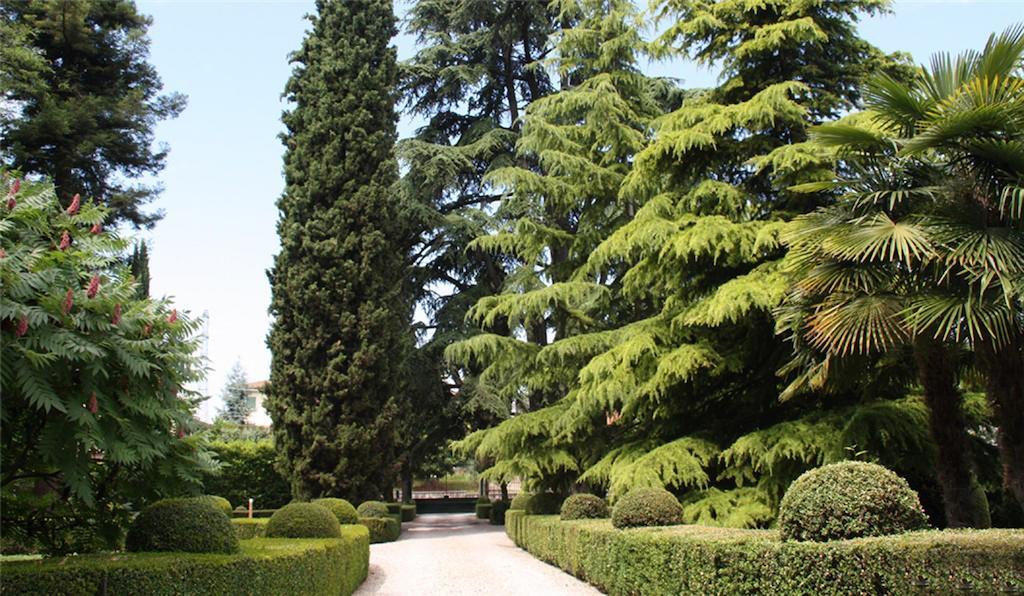 Villa Avesani Pastrengo Exterior photo